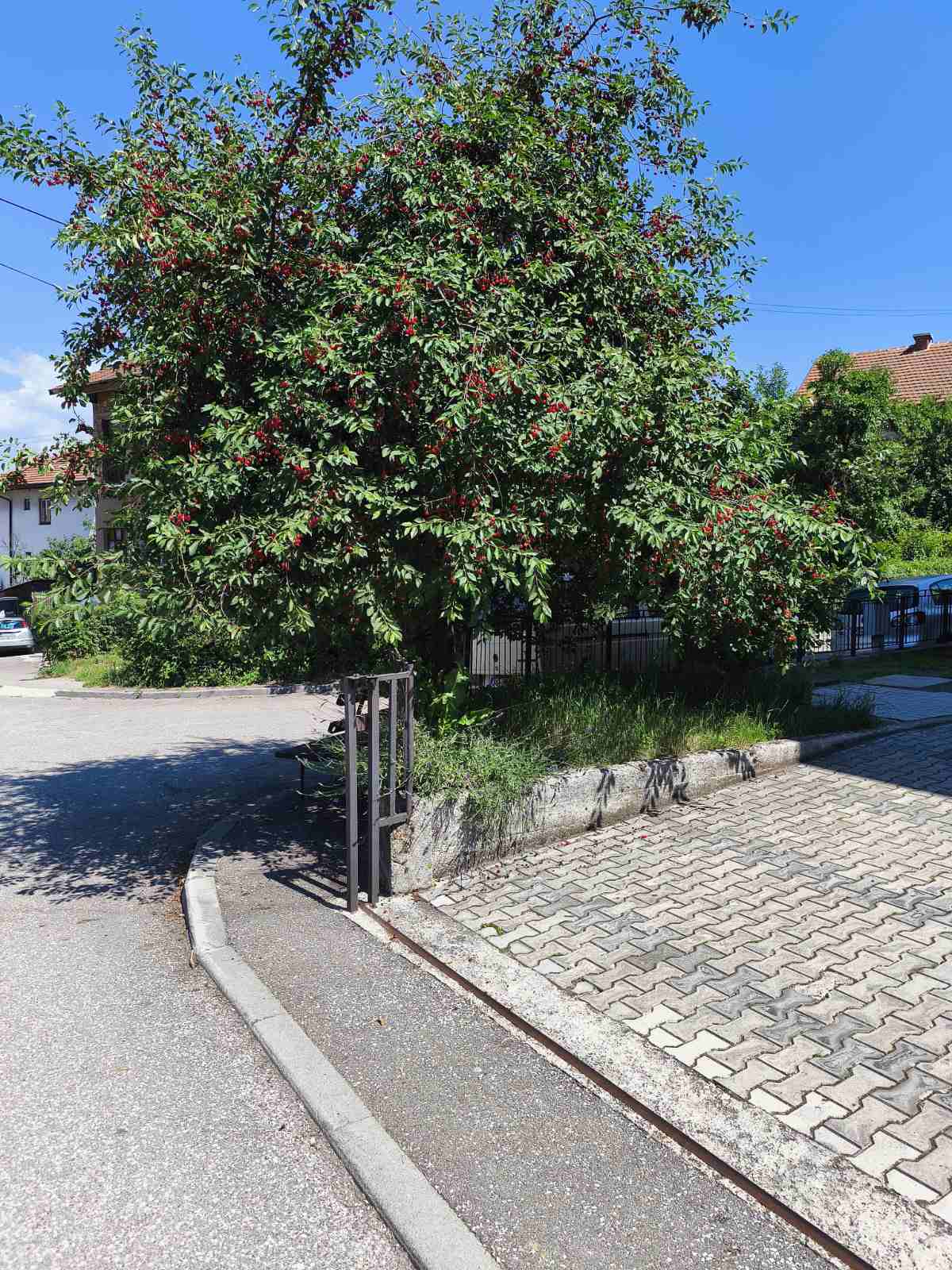 Visoko Image 15